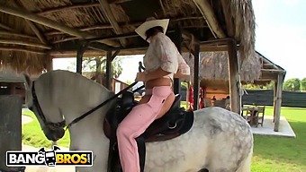 רייצ'ל סטאר עולה על סוס בסרטון הזה של Bangbros, ומציגה את כישורי הרכיבה שלה